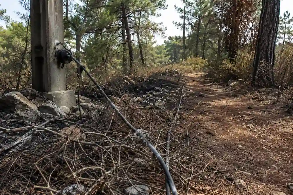 un cable eléctrico causa incendio