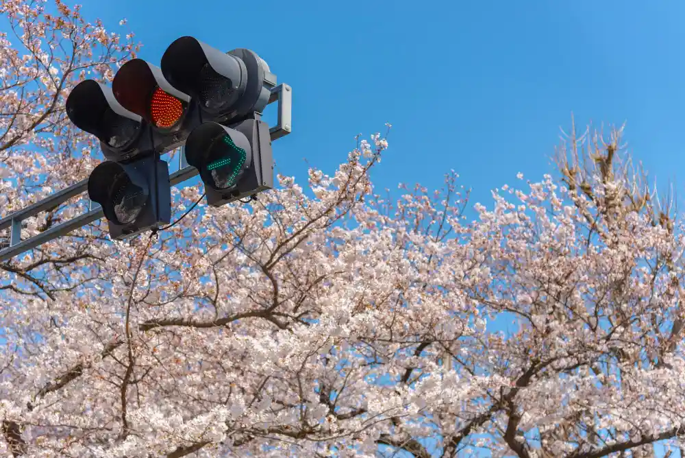 un semaforo en japon