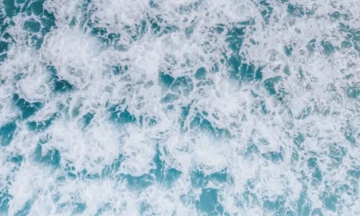 Cicatrices blancas en el agua observadas como líneas de espuma sobre el mar
