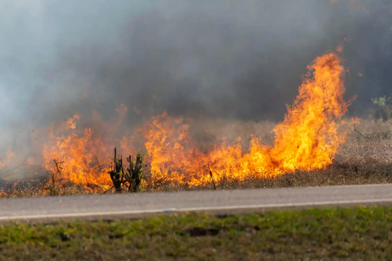 Dos incendios en Algeciras