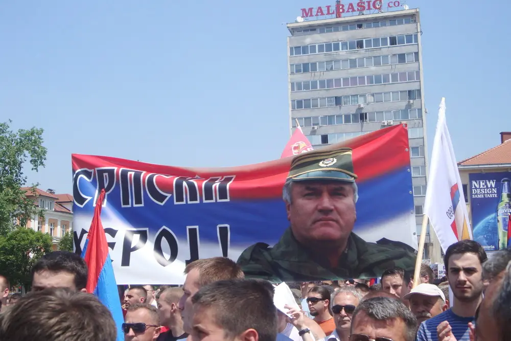 La muerte de Ratko Mladic
