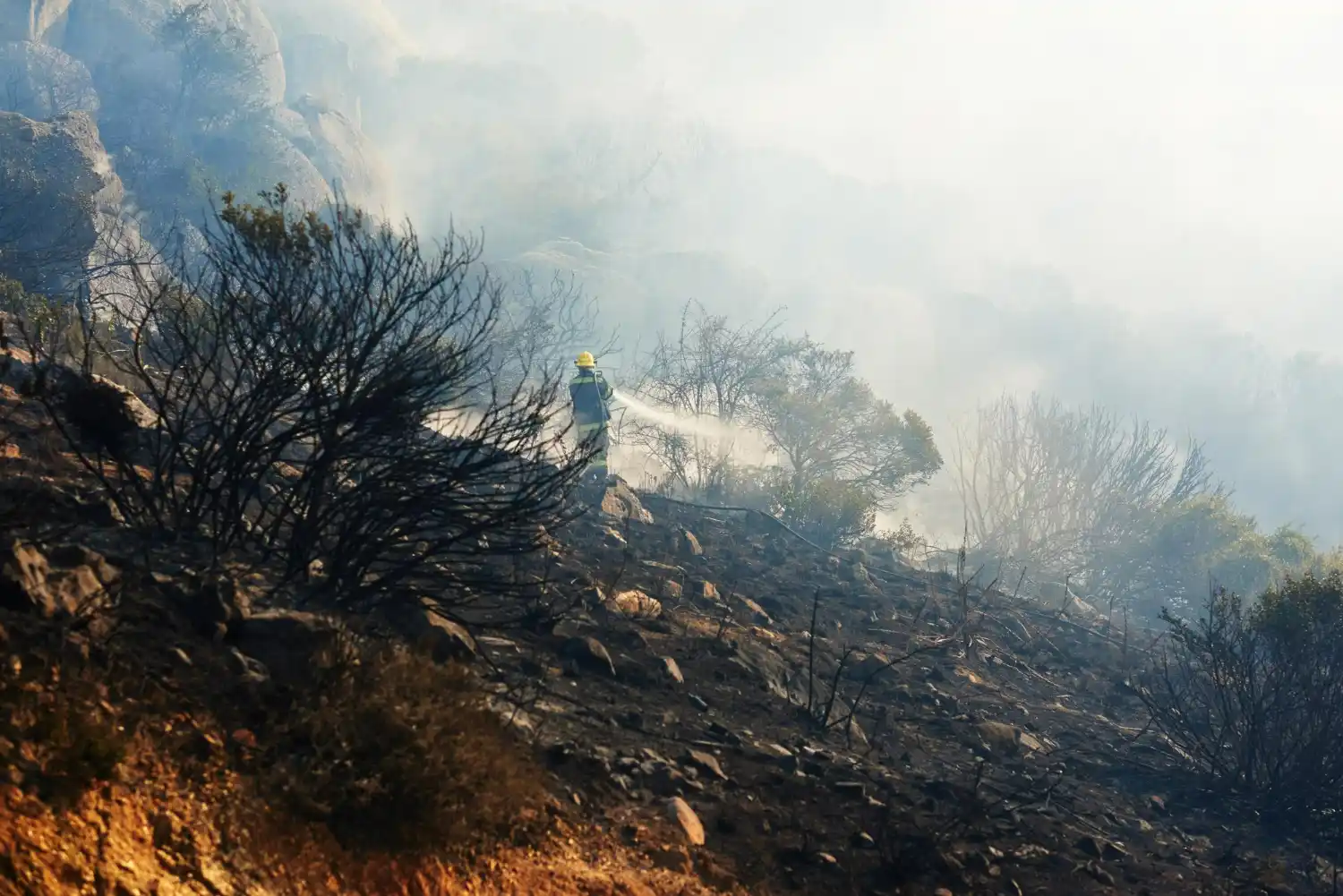 Los incendios arrasan el norte de Argelia