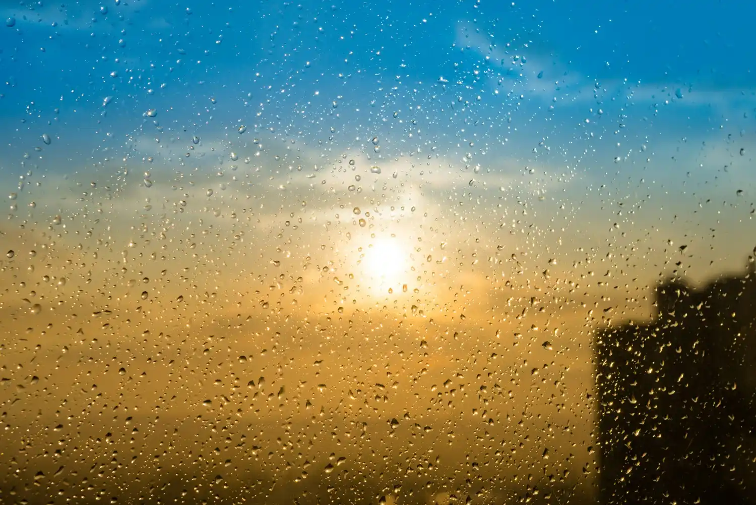 Sol, calor y lluvias