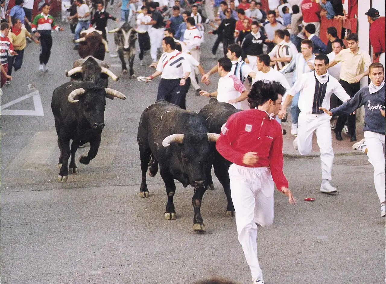 encierros de San Sebastián de los Reyes