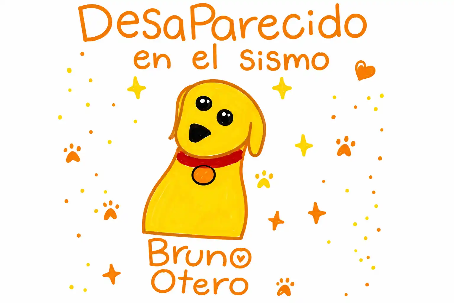 perro perdido tras el terremoto