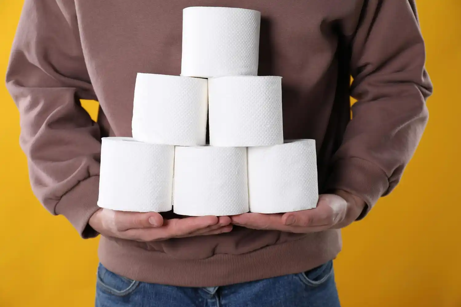 seis rollos de papel