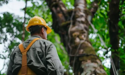 trabajador forestal