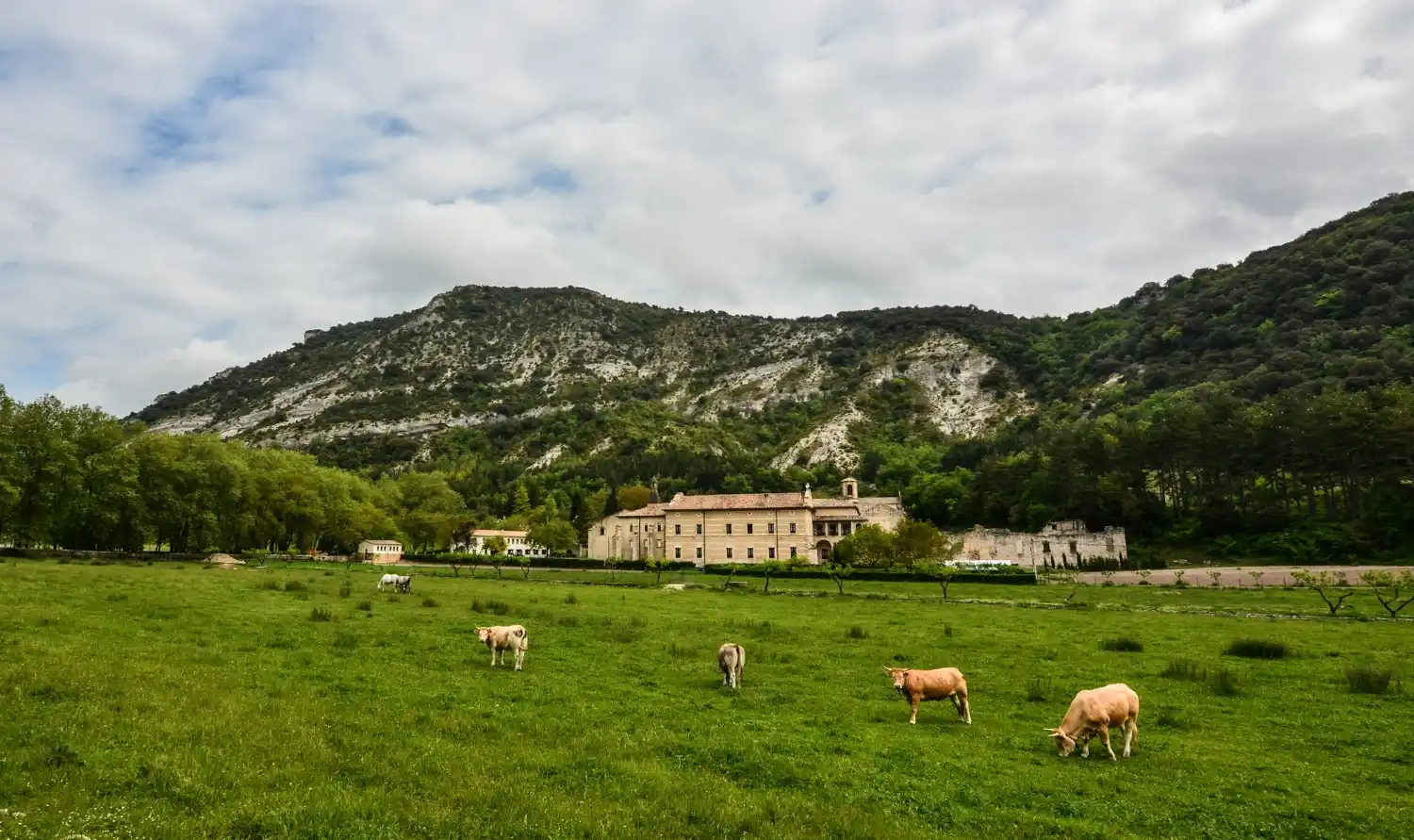 una granja en Argentina