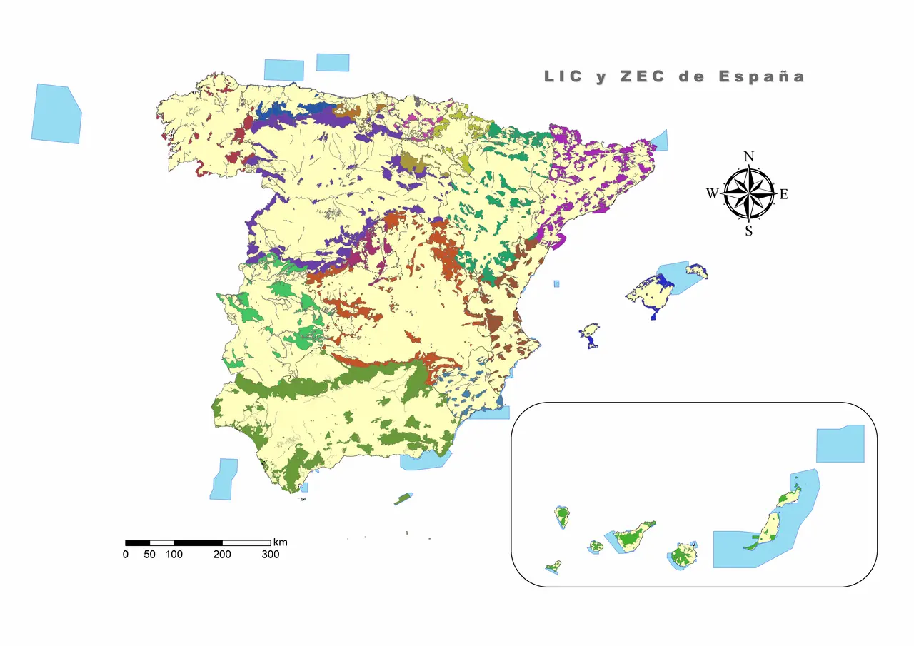 zona especial canaria