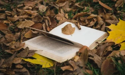 Qué leer este otoño