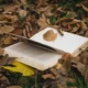 Qué leer este otoño