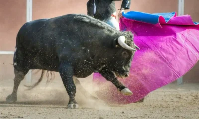 Roca Rey en Nimes