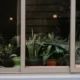 Plantas de interior con poca luz natural situadas cerca de una ventana sombreada