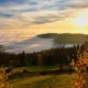 Niebla de otoño entre árboles de un valle al amanecer