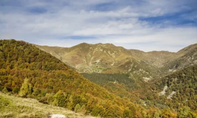 Robledal de montaña que evoca Cangas del Narcea en otoño