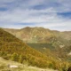 Robledal de montaña que evoca Cangas del Narcea en otoño