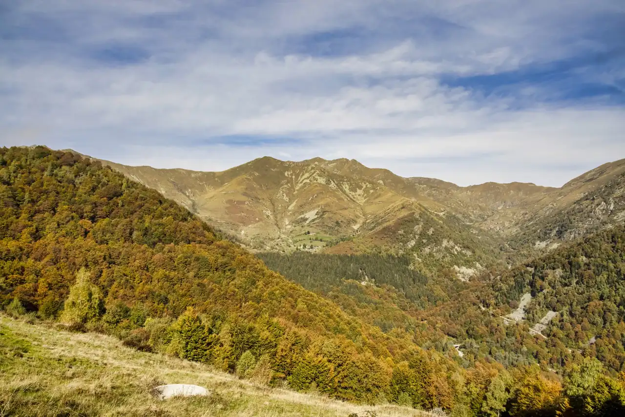 Robledal de montaña que evoca Cangas del Narcea en otoño