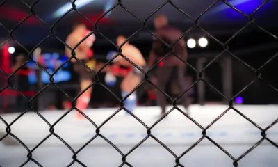 careo de Silva y Delgado
