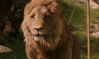 el leon aslan de narnia