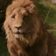 el leon aslan de narnia