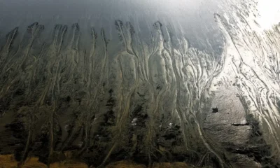 Mareas del equinoccio en una ría con bancos de arena y canales visibles durante la bajamar