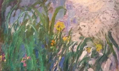 iris de monet