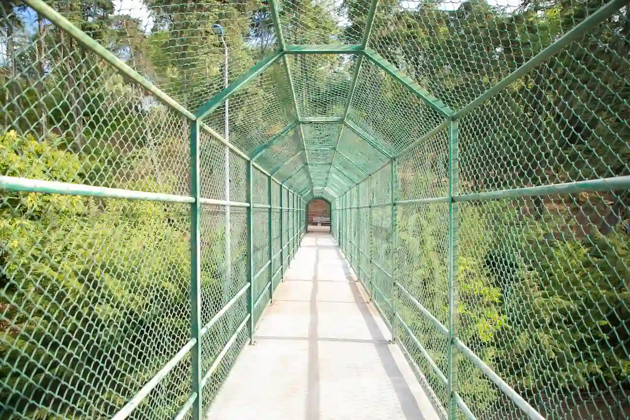 jaula para caimanes