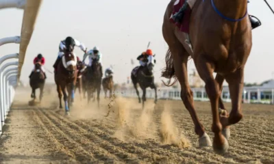 las carreras de caballos