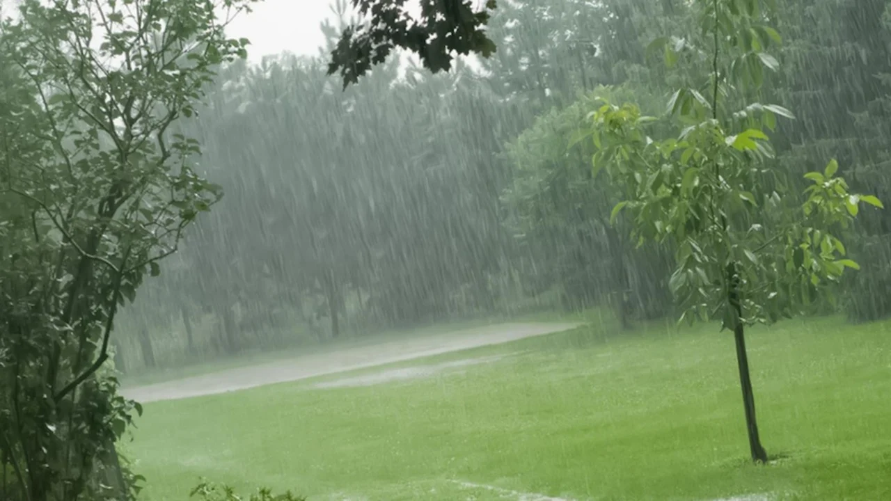 lluvias intensas en un parque