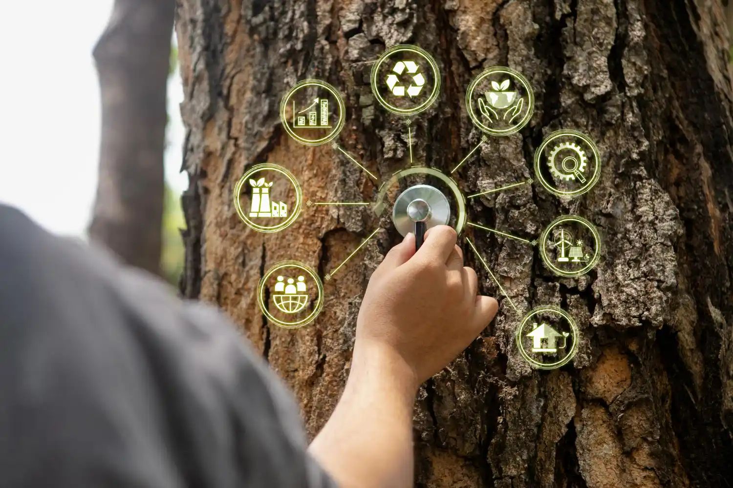 mano arbol plan naturaleza