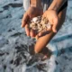 manos con conchas en la playa