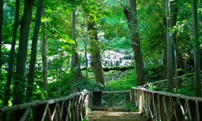 Cascada y árboles de tonos otoñales en el Monasterio de Piedra en otoño