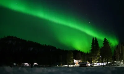Auroras boreales en otoño sobre un bosque oscuro del norte de Finlandia