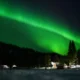 Auroras boreales en otoño sobre un bosque oscuro del norte de Finlandia