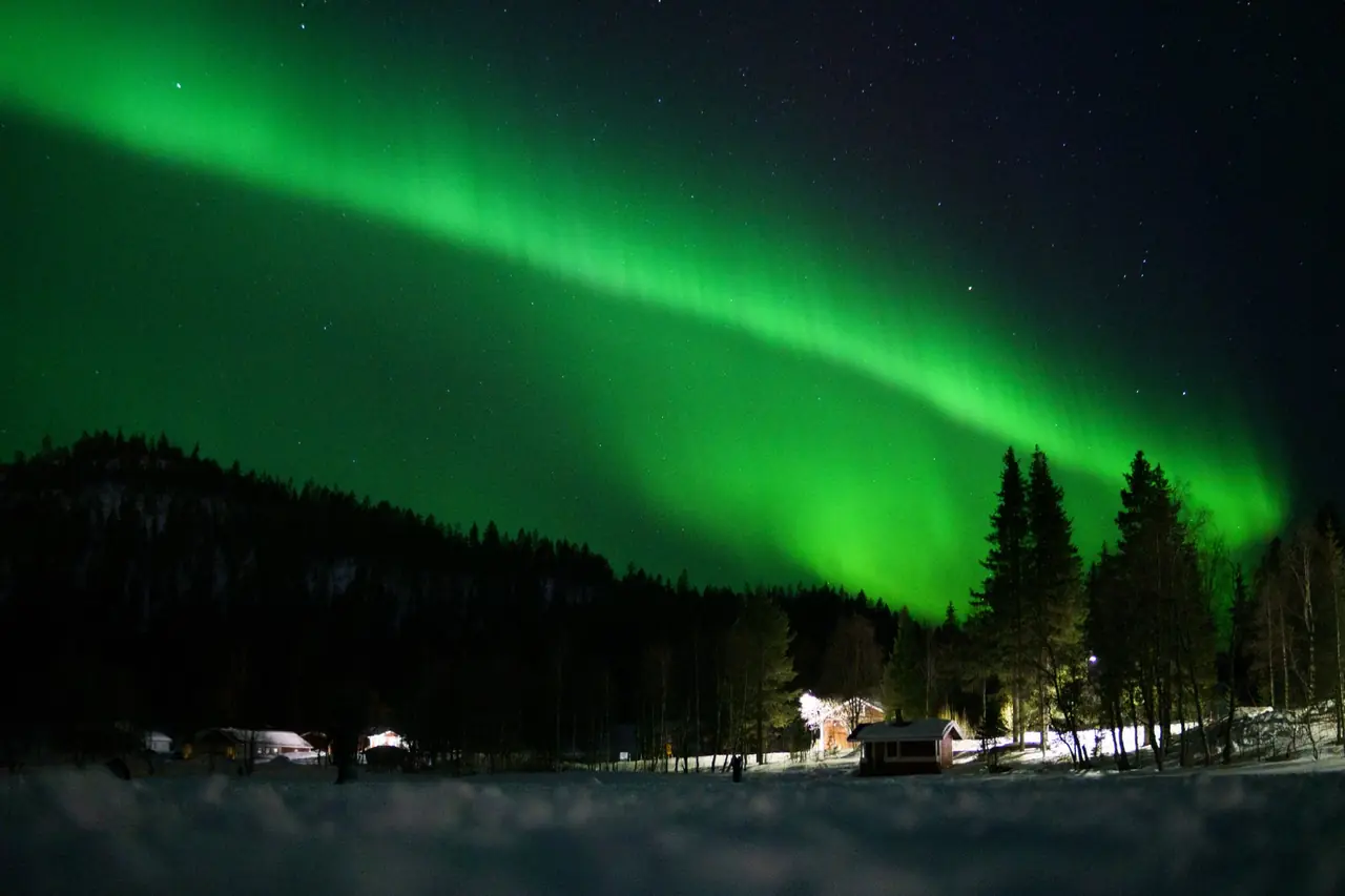 Auroras boreales en otoño sobre un bosque oscuro del norte de Finlandia