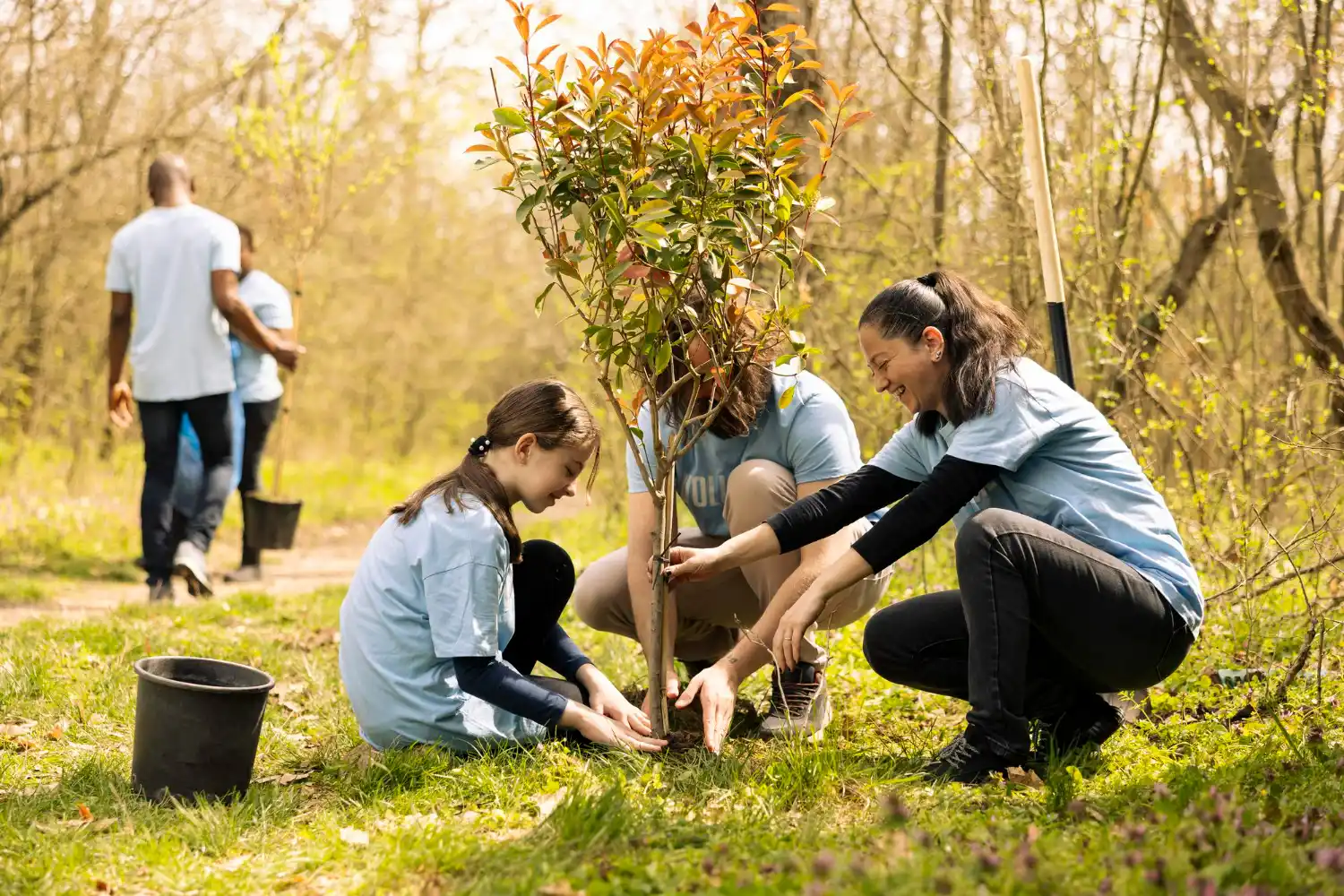 plan para restaurar bosques