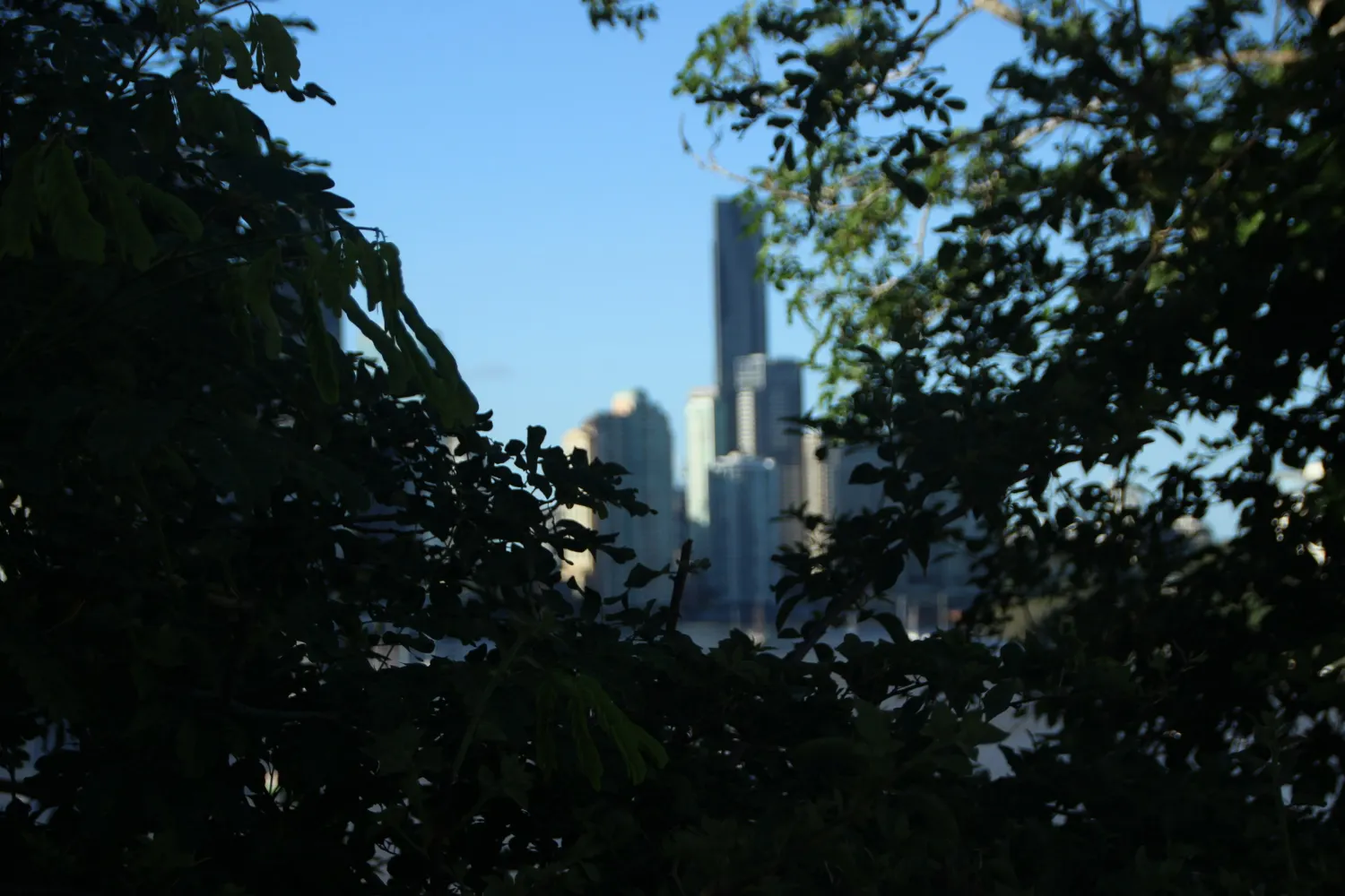verde en una gran ciudad