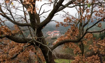 Pueblo blanco de la Alpujarra durante el otoño, rodeado de árboles de hoja caduca