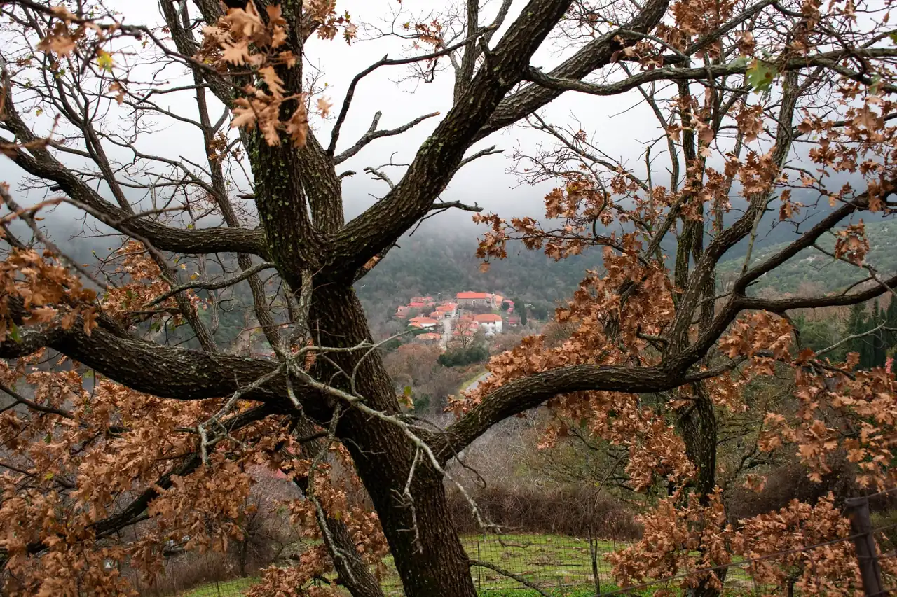 Pueblo blanco de la Alpujarra durante el otoño, rodeado de árboles de hoja caduca