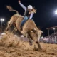 India Rose un rodeo