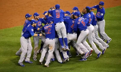 cubs celebrano la victoria 2016